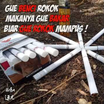 STORY WA | KATA² ROKOK