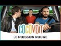 Cocovoit  le poisson rouge avec cyprien