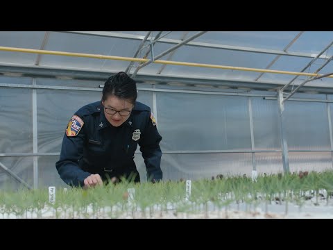 Become a Forestry Assistant II