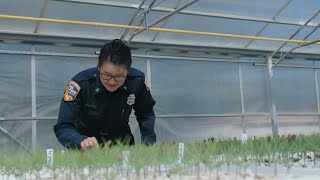 Become a Forestry Assistant II