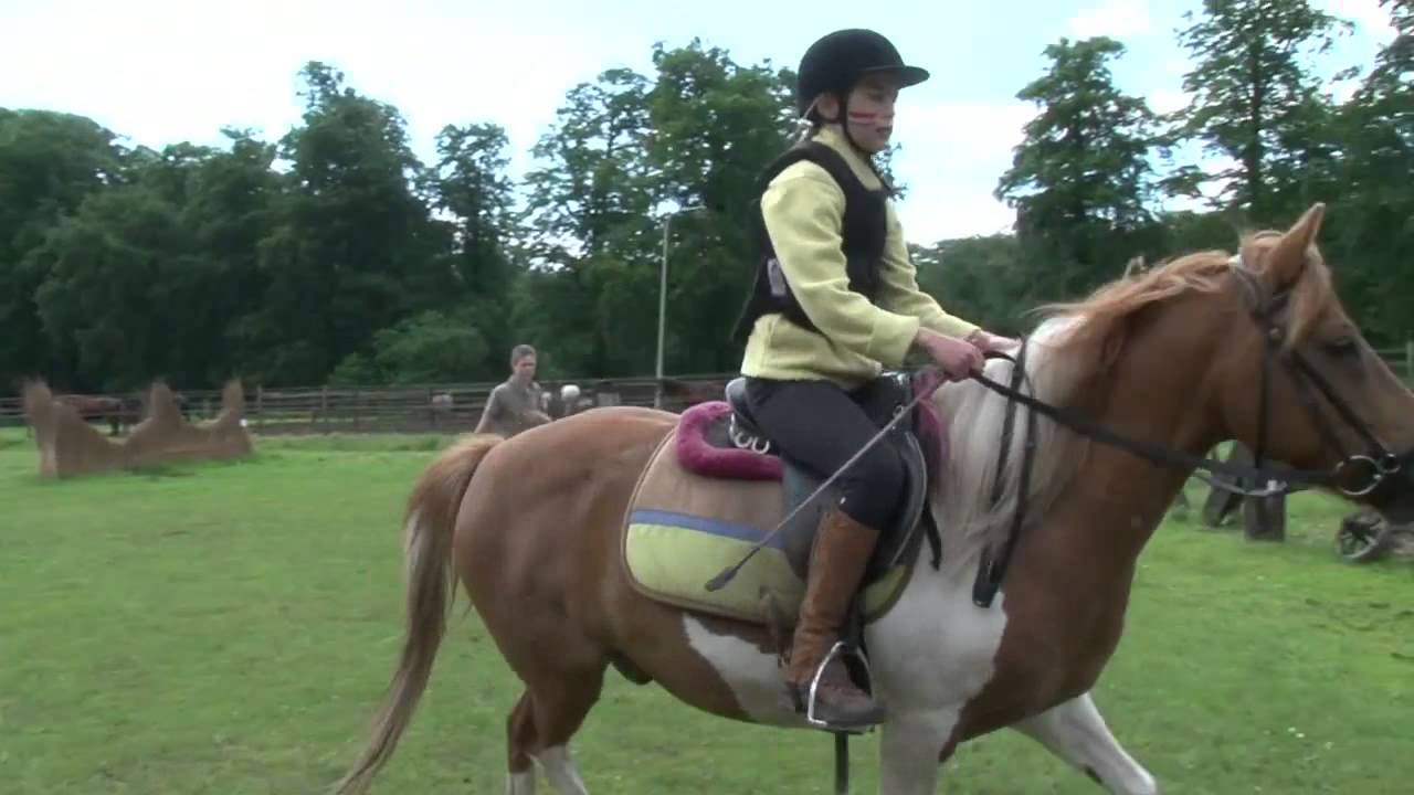 Stal 't Reelaer movie