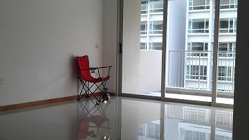 Trex 450 Clone hover indoor