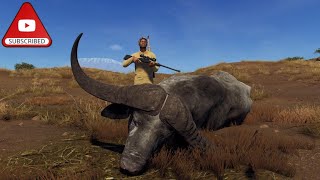 Way of the hunter wild cape buffalo 5* (471/500)