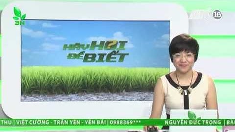 Dùng viên long não để trừ rệp sáp cho cây tiêu có được không ?