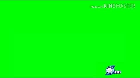 SwordSoft Network Screenbug (with HD logo)