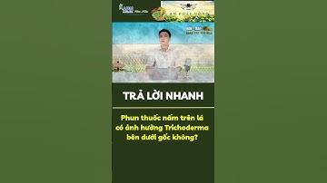 APN - Phun thuốc nấm trên lá có ảnh hưởng tới trichoderma bên dưới đất không? #apnhoamau #rau_màu