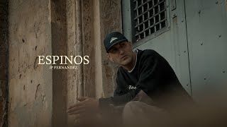 JP Fernandez - ESPINOS Resimi