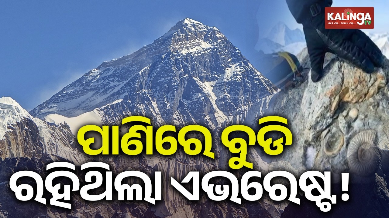 Marine Fossils on Everest? Sea fossils found on Mount Everest reveal 500-million-year ocean mystery