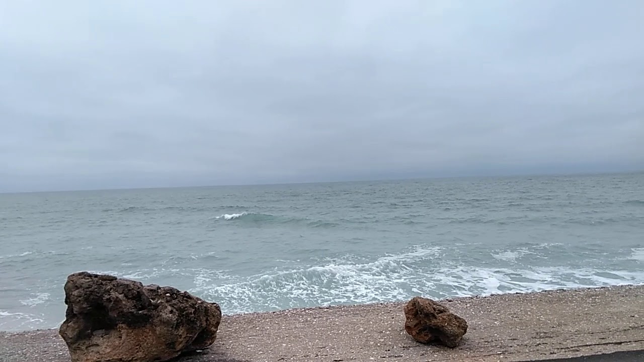 Part 1 Beautiful Osprey FL YouTube