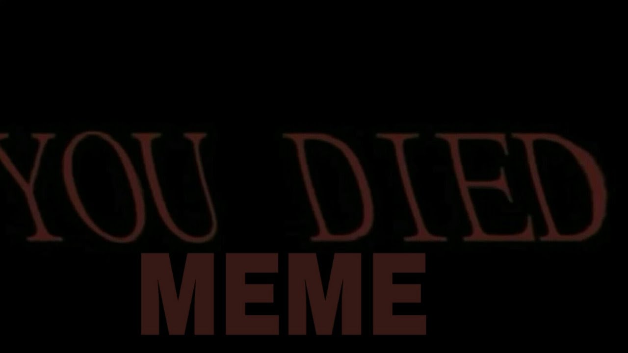 you died meme ,cat - YouTube