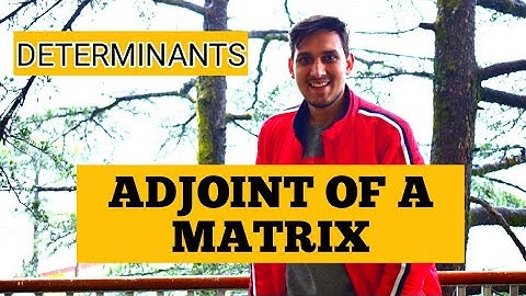 Properties of Adjoint of Matrices| Determinants| Class 12th