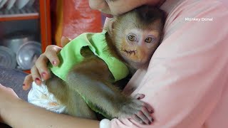 Million Sad!! Baby Monkey Donal So Tired Cuz He Still Hurtt On His Face
