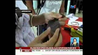 Christine TV1 News Aug21_2011.flv