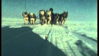 Остров Вайгач