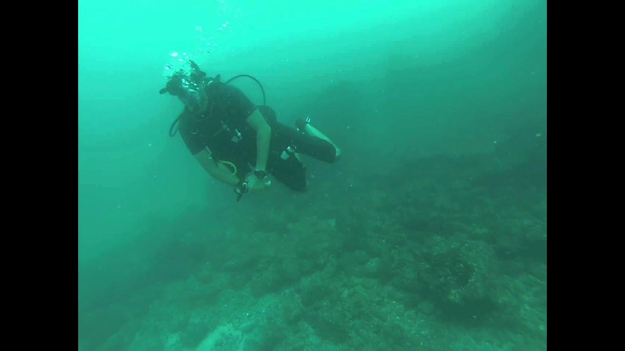 Discovering Costa Rica Underwater YouTube