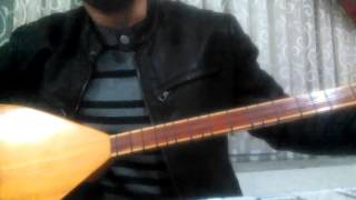 Yeşil Başlı Telli Turnam