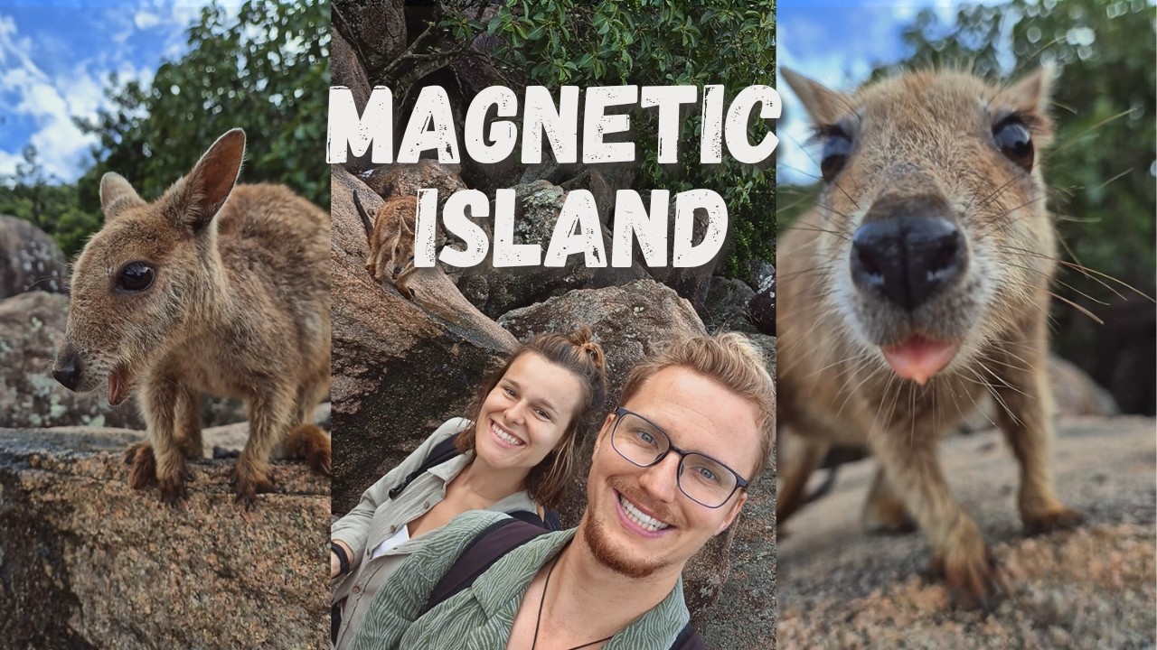 Magnetic Island w 1 DZIEŃ 🇦🇺 Koale na wolności, rajskie plaże i MUST SEE w Australii