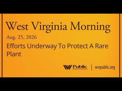 Efforts Underway To Protect A Rare Plant, This West Virginia Morning