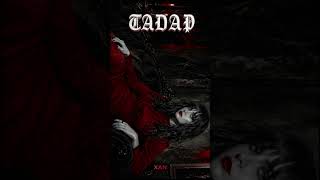 TADAP - Official OST | Original Song | A Soulful Pakistani Drama Style Ballad | Ammara Nayab - XAN