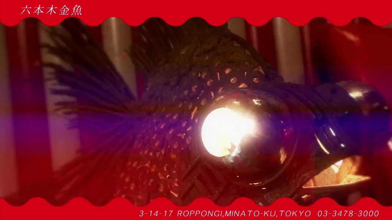 【六本木金魚】ＣＦ　15sec