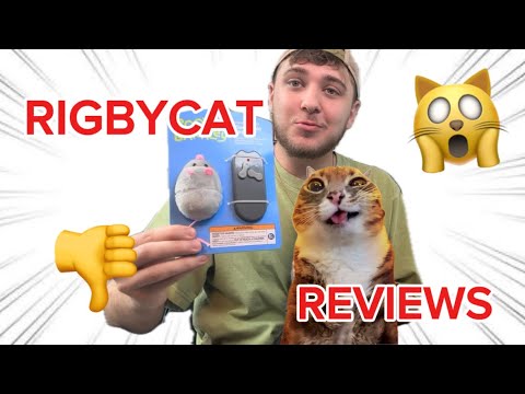 Silly CAT + Silly TOY = ???