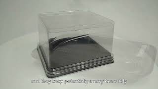Disposable Food Container,Disposable Plastic Tray,Biodegradable Clamshell Container,Best,China Maker