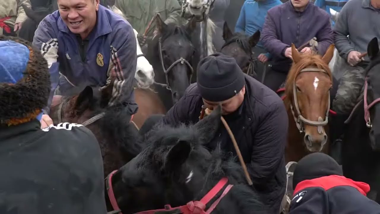 Аламан улак 09.01.2022 | Ош, Фуркат.