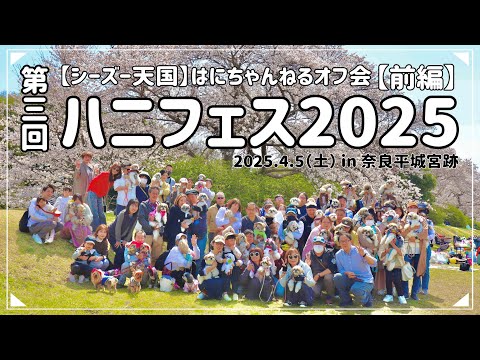 【シーズー天国】はにちゃんねるお花見オフ会「第三回ハニフェス」に完全密着（前編）