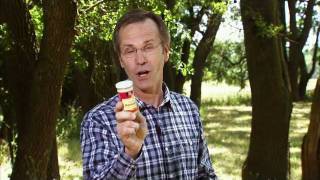 Horseradish - Harvesting Knowledge: America's Heartland