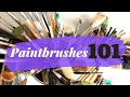 Understanding Paintbrush Anatomy and Types