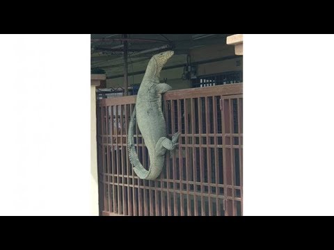 nyari ratata bersama rengga~ - nyari ratata bersama rengga~