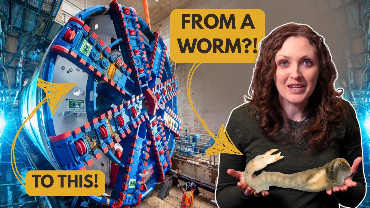 Inside a GIANT Tunnel Boring Machine - The Surprising Truth About How We Tunnel!