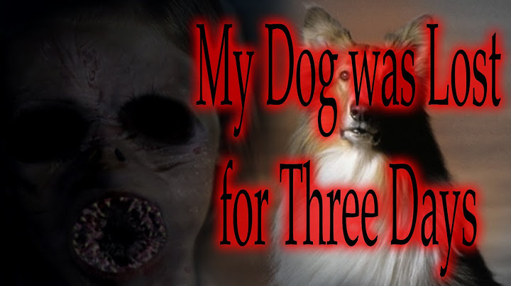 "My Dog was Lost for Three Days" by Chewingskin | CreepyPasta Storytime