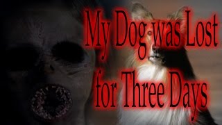 "My Dog was Lost for Three Days" by Chewingskin | CreepyPasta Storytime