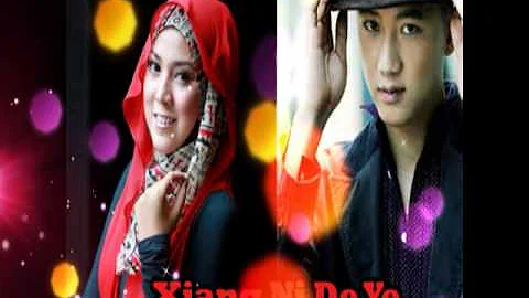 {NEW} Shila Amzah ft Guan Zhe  || Xiang Ni De Ye || 想你的夜