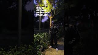 Kral Benim Olum Onlar Prenslerim 👑