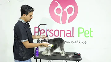 Como é a tosa de Schnauzer?