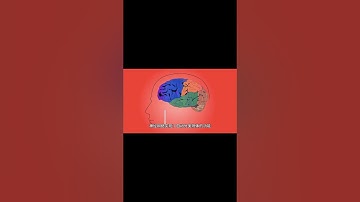 【AI进化】特斯拉Optimus机器人能自动分拣积木 #ai #人工智能 #news #新闻 #ainews #人工智能新闻 #ai新聞 #ai新闻 #人工智慧 #ai师叔 #特斯拉 #optimus