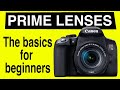 What is all the fuss about PRIME LENSES? A beginner guide to Prime Vs Zoom lenses.