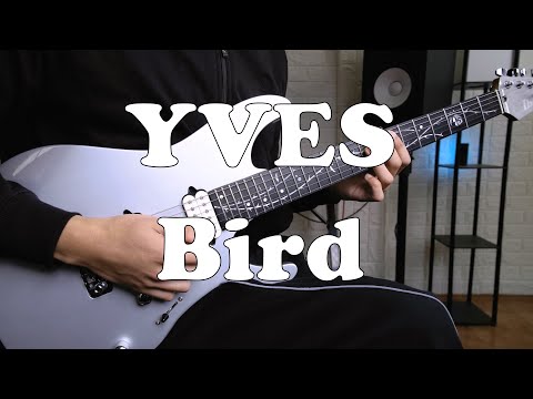 Bird - YVES