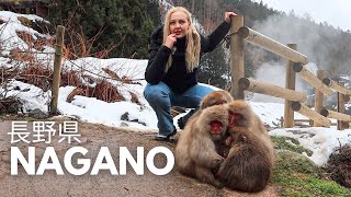 NAGANO, JAPAN travel vlog | Hot spring bathing snow monkeys ❄️