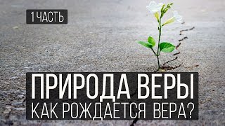 Природа веры (1 часть). Как рождается  вера? | Николай Лапшин