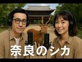 奈良の伝統と現代の課題：千二百年の「お水取り」と神の使い「奈良のシカ」が未来に問うもの