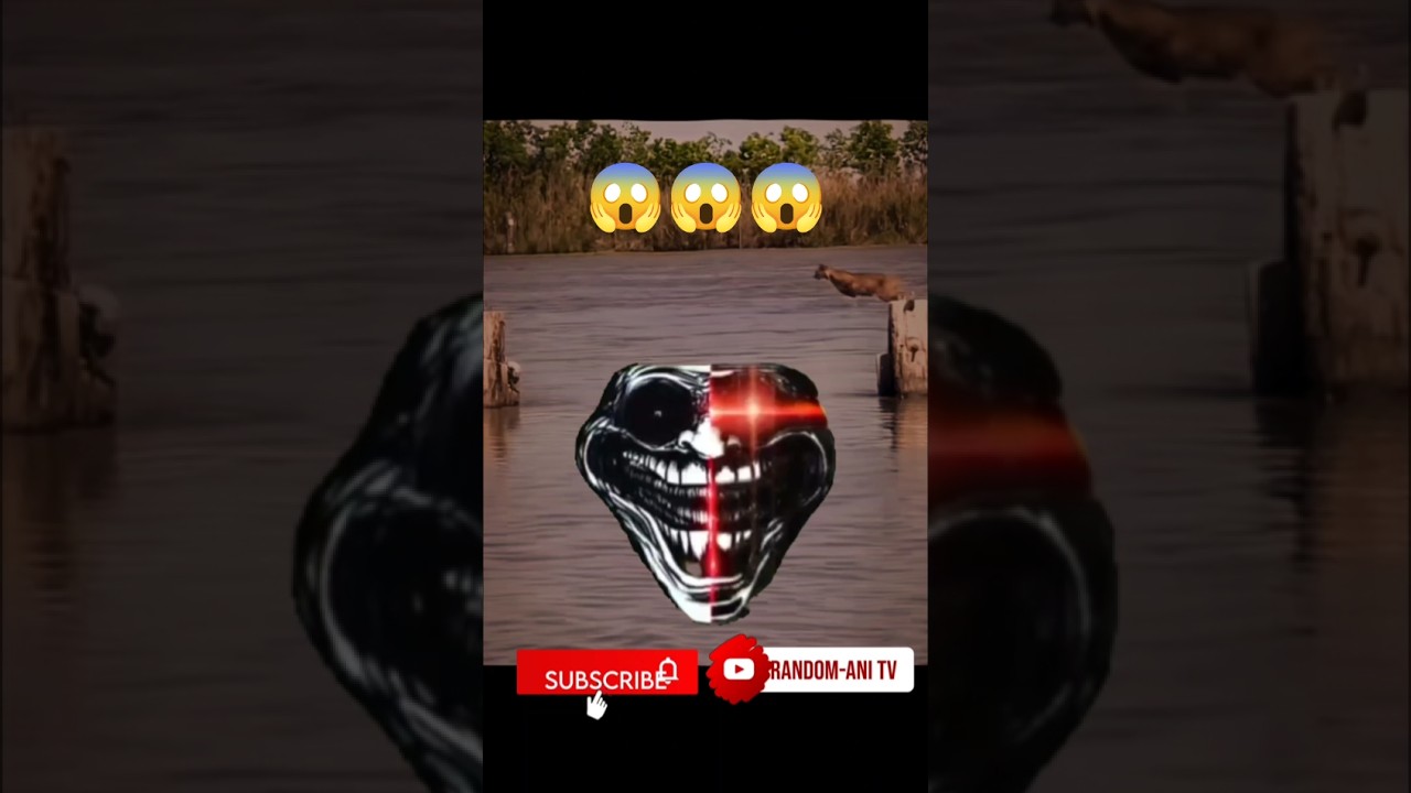 “Bobcat Leaps Like a Ninja! 🐾💨 Insane Dock Jump” 