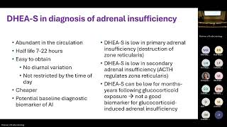 UofL Endocrinology Grand Rounds: Dr. Irina Bancos