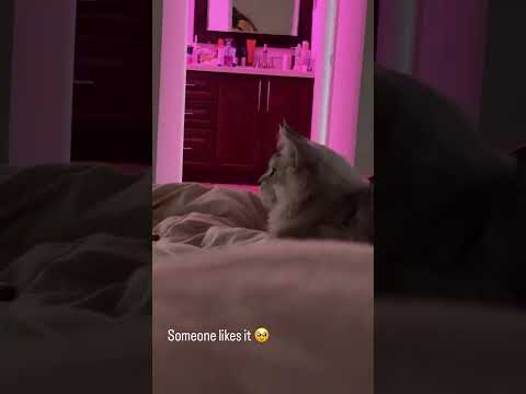 Malu Trevejo Stories, August 23, 2026