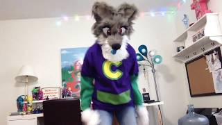Head Shoulders Knees and Toes Fursuit Dance