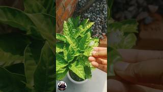 पड क सथ य कभ न करन