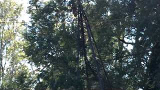 .The Right Way to Take Down and Move a Windmill,MOV