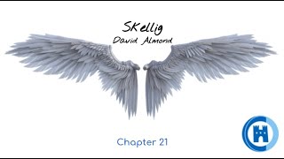 Year 5 English, Skellig - Chapter 21